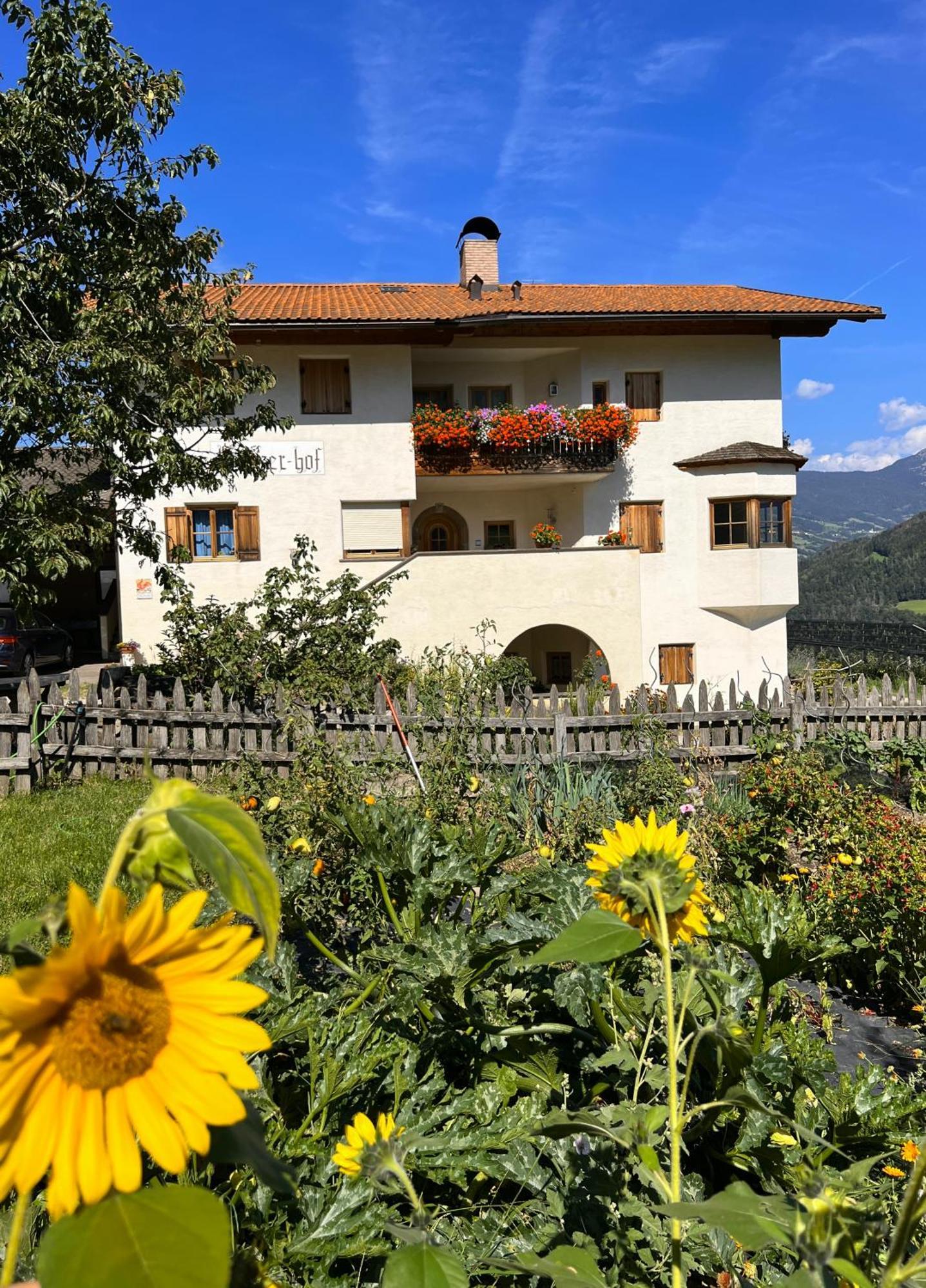 Gasserhof Barbiano  Exterior foto